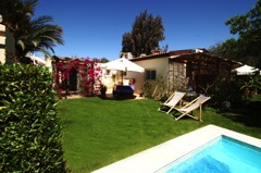 Garden with pool